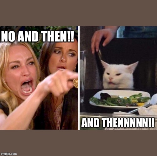 Woman yelling at cat meme | NO AND THEN!! AND THENNNNN!! | image tagged in woman yelling at cat meme | made w/ Imgflip meme maker