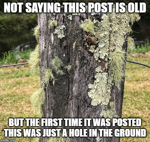 old post | NOT SAYING THIS POST IS OLD; BUT THE FIRST TIME IT WAS POSTED THIS WAS JUST A HOLE IN THE GROUND | image tagged in old,post | made w/ Imgflip meme maker