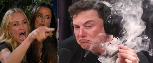 High Quality Cat Lady Yells At Elon Musk Blank Meme Template
