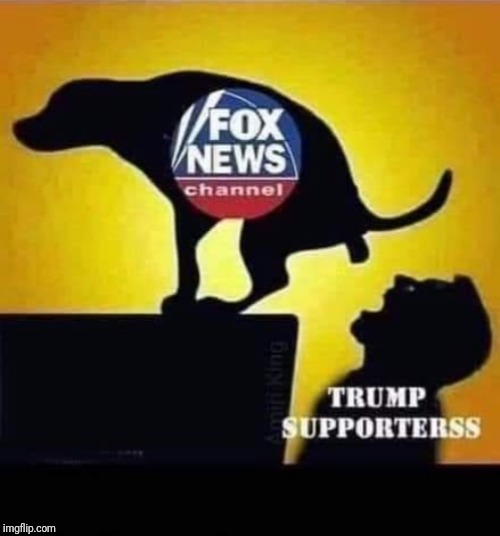 Fox news | image tagged in fox news | made w/ Imgflip meme maker