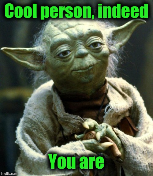 Star Wars Yoda Meme | Cool person, indeed You are | image tagged in memes,star wars yoda | made w/ Imgflip meme maker