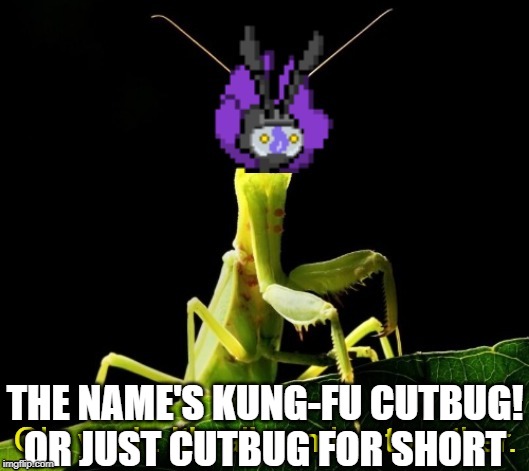 Cutbug It's All Coming Together | THE NAME'S KUNG-FU CUTBUG!
OR JUST CUTBUG FOR SHORT | image tagged in cutbug it's all coming together | made w/ Imgflip meme maker