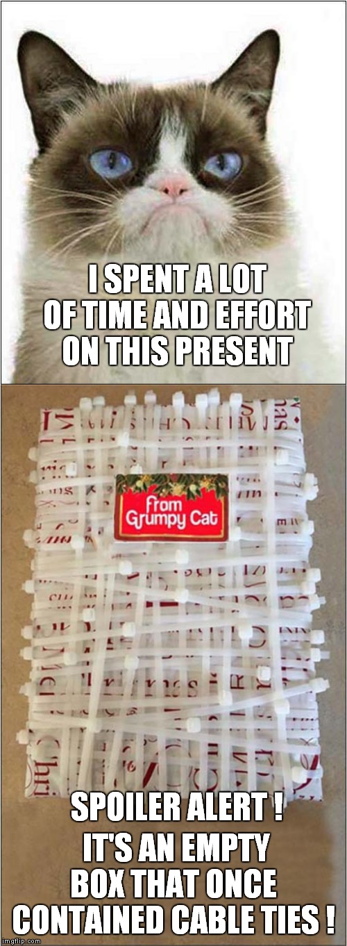 Grumpys Thoughtful Gift | I SPENT A LOT OF TIME AND EFFORT ON THIS PRESENT; SPOILER ALERT ! IT'S AN EMPTY BOX THAT ONCE CONTAINED CABLE TIES ! | image tagged in fun,grumpy cat,presents | made w/ Imgflip meme maker