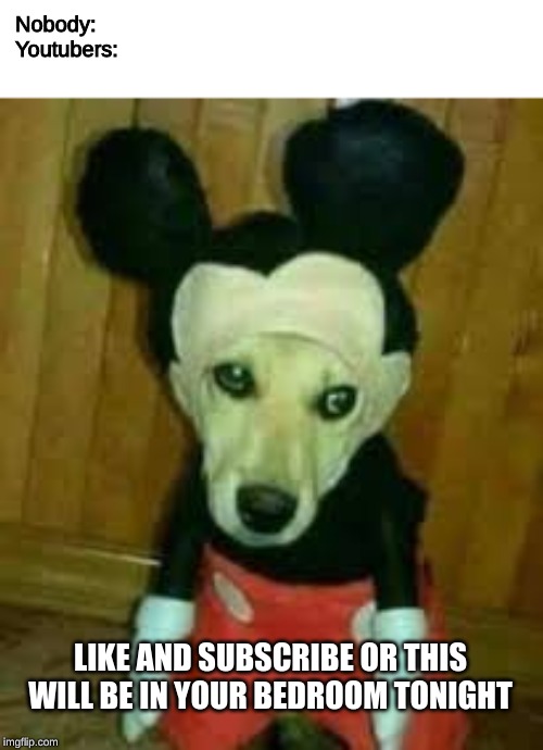 Cursed Mickey Dog | Nobody:
Youtubers:; LIKE AND SUBSCRIBE OR THIS WILL BE IN YOUR BEDROOM TONIGHT | image tagged in cursed mickey dog | made w/ Imgflip meme maker