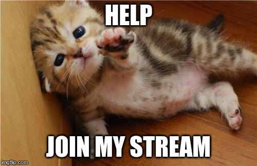 Help Me Kitten | HELP; JOIN MY STREAM | image tagged in help me kitten | made w/ Imgflip meme maker
