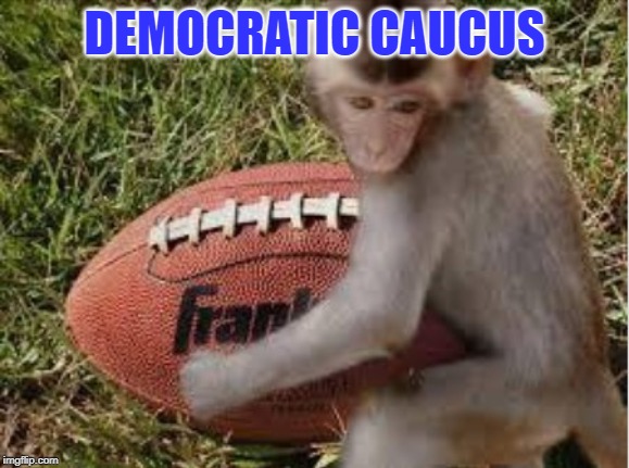 Democratic Caucus | DEMOCRATIC CAUCUS | image tagged in democratic caucus | made w/ Imgflip meme maker