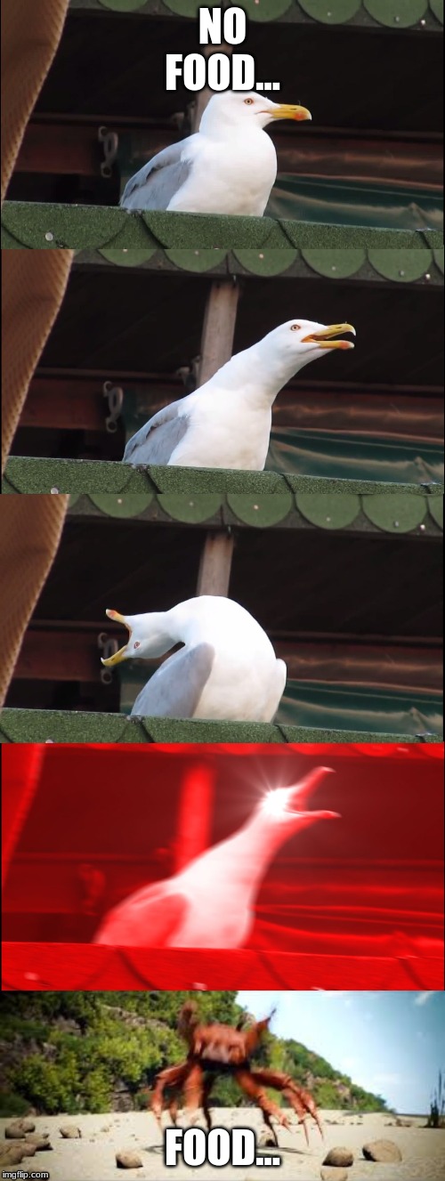 NO FOOD... FOOD... | image tagged in memes,inhaling seagull,crab rave | made w/ Imgflip meme maker