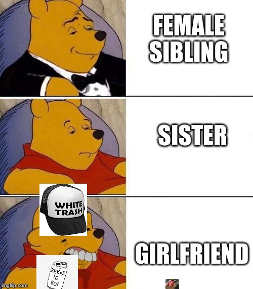 Tuxedo on Top Winnie The Pooh (3 panel) | FEMALE SIBLING; SISTER; GIRLFRIEND | image tagged in tuxedo on top winnie the pooh 3 panel | made w/ Imgflip meme maker