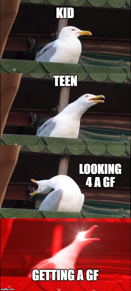 Inhaling Seagull Meme | KID; TEEN; LOOKING 4 A GF; GETTING A GF | image tagged in memes,inhaling seagull | made w/ Imgflip meme maker
