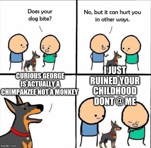 does your dog bite | I JUST RUINED YOUR CHILDHOOD DONT @ ME; CURIOUS GEORGE IS ACTUALLY A CHIMPANZEE NOT A MONKEY | image tagged in does your dog bite | made w/ Imgflip meme maker