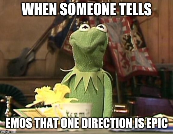 Annoyed Kermit | WHEN SOMEONE TELLS; EMOS THAT ONE DIRECTION IS EPIC | image tagged in annoyed kermit | made w/ Imgflip meme maker