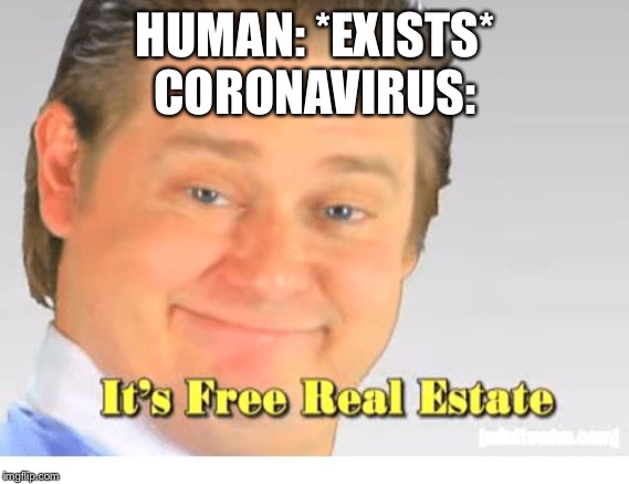 It's Free Real Estate | HUMAN: *EXISTS*
CORONAVIRUS: | image tagged in it's free real estate | made w/ Imgflip meme maker