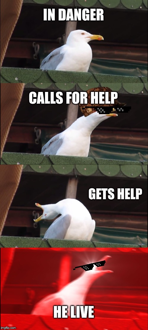 Inhaling Seagull Meme | IN DANGER; CALLS FOR HELP; GETS HELP; HE LIVE | image tagged in memes,inhaling seagull | made w/ Imgflip meme maker