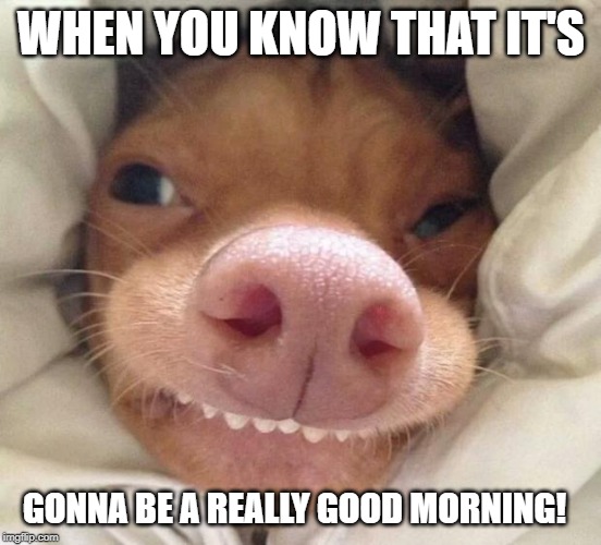 good morning | WHEN YOU KNOW THAT IT'S; GONNA BE A REALLY GOOD MORNING! | image tagged in good morning | made w/ Imgflip meme maker