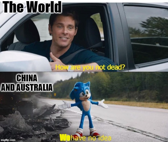 sonic how are you not dead | The World; CHINA AND AUSTRALIA; We | image tagged in sonic how are you not dead | made w/ Imgflip meme maker