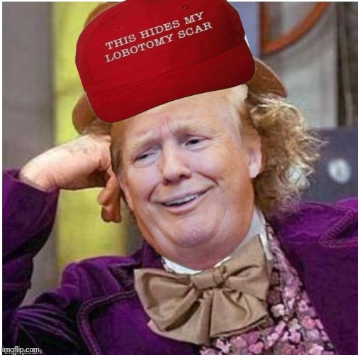 Wonka Trump | image tagged in wonka trump | made w/ Imgflip meme maker