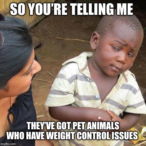 Third World Skeptical Kid | SO YOU’RE TELLING ME; THEY’VE GOT PET ANIMALS WHO HAVE WEIGHT CONTROL ISSUES | image tagged in memes,third world skeptical kid | made w/ Imgflip meme maker
