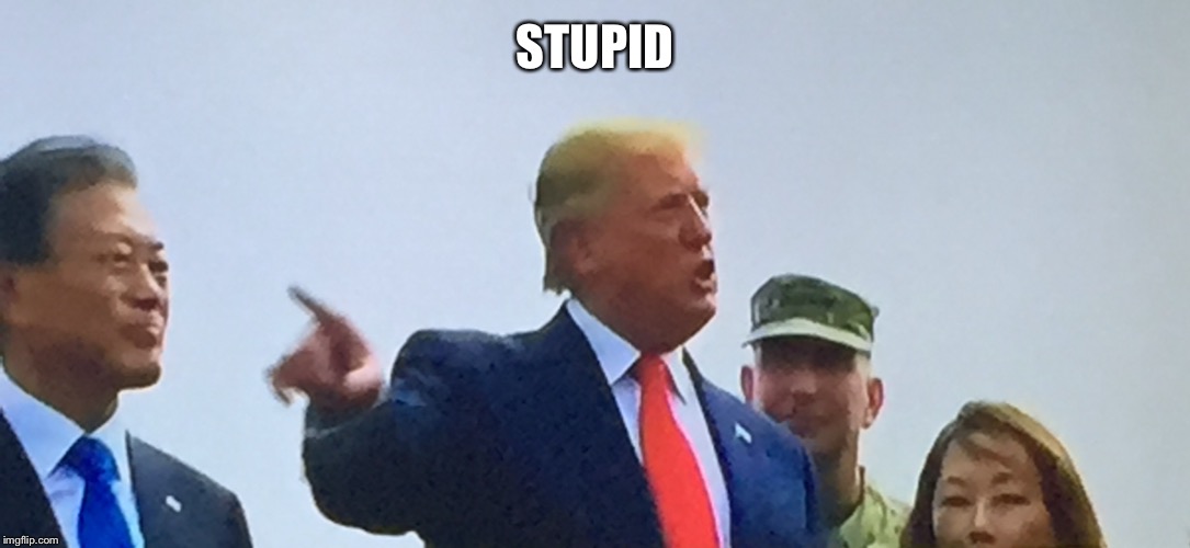 Trump demilitarised zone | STUPID | image tagged in trump demilitarised zone | made w/ Imgflip meme maker