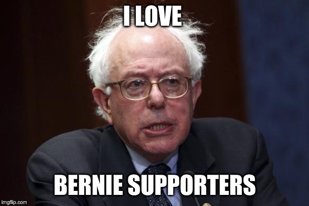 Bernie Sanders | I LOVE BERNIE SUPPORTERS | image tagged in bernie sanders | made w/ Imgflip meme maker