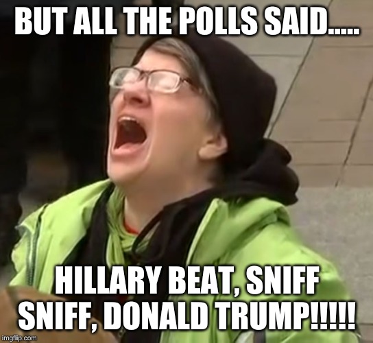 snowflake | BUT ALL THE POLLS SAID..... HILLARY BEAT, SNIFF SNIFF, DONALD TRUMP!!!!! | image tagged in snowflake | made w/ Imgflip meme maker