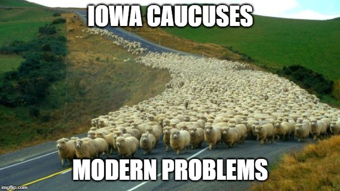 Iowa caucuses | IOWA CAUCUSES; MODERN PROBLEMS | image tagged in sheep | made w/ Imgflip meme maker
