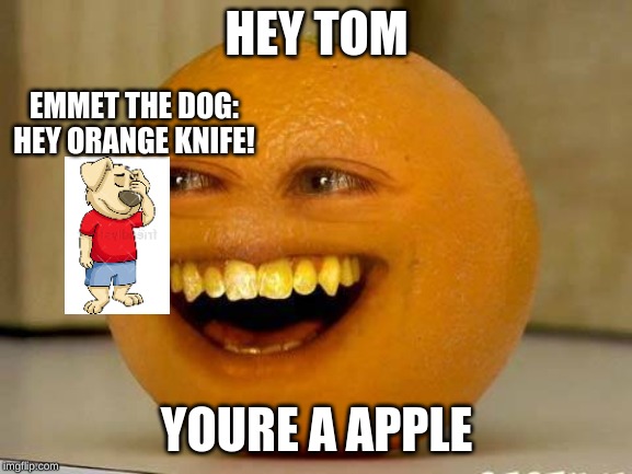 The annoying orange annoys tom | HEY TOM; EMMET THE DOG: HEY ORANGE KNIFE! YOURE A APPLE | image tagged in annoying orange,dogs,tom,lego movie emmet | made w/ Imgflip meme maker