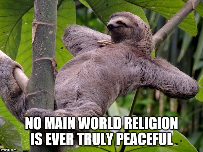 Lazy Sloth | NO MAIN WORLD RELIGION IS EVER TRULY PEACEFUL | image tagged in lazy sloth | made w/ Imgflip meme maker