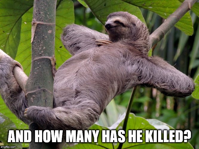 Lazy Sloth | AND HOW MANY HAS HE KILLED? | image tagged in lazy sloth | made w/ Imgflip meme maker
