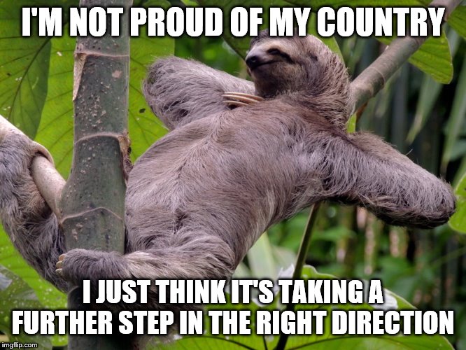 Lazy Sloth | I'M NOT PROUD OF MY COUNTRY I JUST THINK IT'S TAKING A FURTHER STEP IN THE RIGHT DIRECTION | image tagged in lazy sloth | made w/ Imgflip meme maker