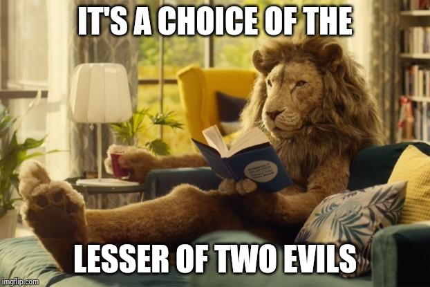 Lion relaxing | IT'S A CHOICE OF THE LESSER OF TWO EVILS | image tagged in lion relaxing | made w/ Imgflip meme maker