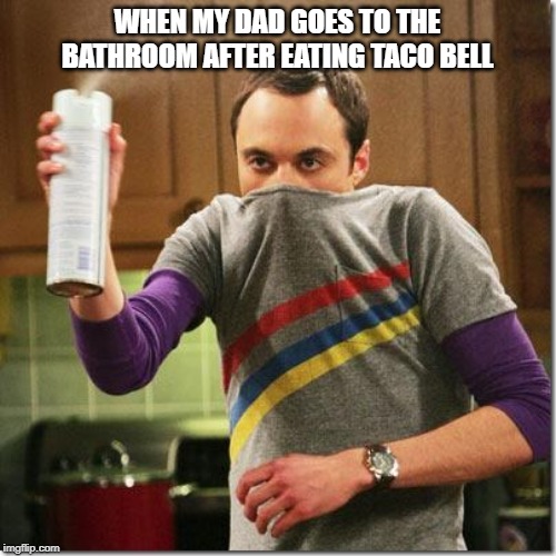 air freshener sheldon cooper | WHEN MY DAD GOES TO THE BATHROOM AFTER EATING TACO BELL | image tagged in air freshener sheldon cooper | made w/ Imgflip meme maker