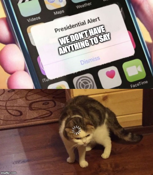 WE DON'T HAVE ANYTHING TO SAY | image tagged in memes,presidential alert,buffering cat | made w/ Imgflip meme maker