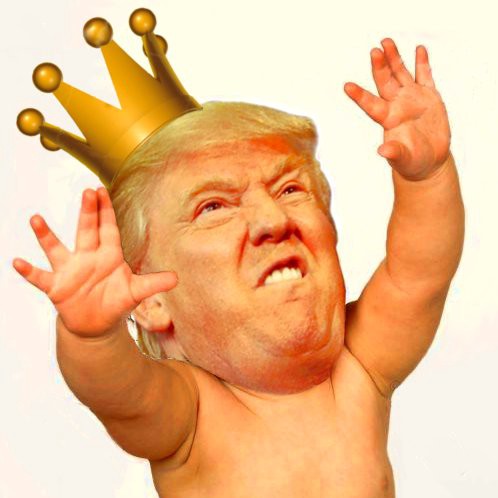 High Quality Trump Baby Crown Blank Meme Template