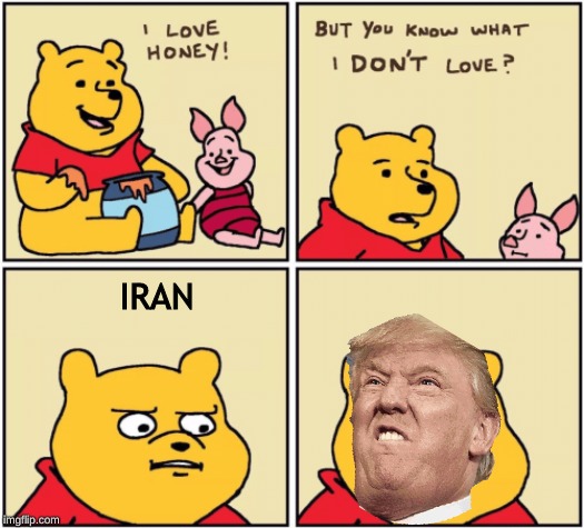 upset pooh | IRAN | image tagged in upset pooh | made w/ Imgflip meme maker