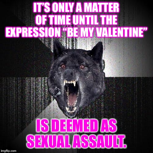 Happy Valentines Day perverts | IT’S ONLY A MATTER OF TIME UNTIL THE EXPRESSION “BE MY VALENTINE”; IS DEEMED AS SEXUAL ASSAULT. | image tagged in memes,insanity wolf,valentines day,sexual assault,bad joke,words | made w/ Imgflip meme maker