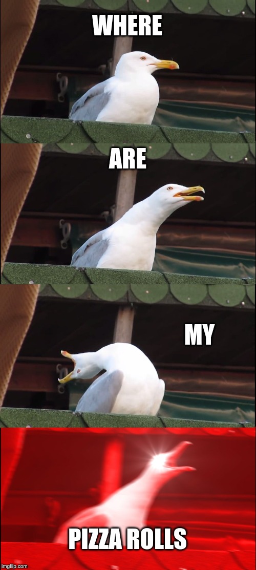 Inhaling Seagull Meme | WHERE; ARE; MY; PIZZA ROLLS | image tagged in memes,inhaling seagull | made w/ Imgflip meme maker