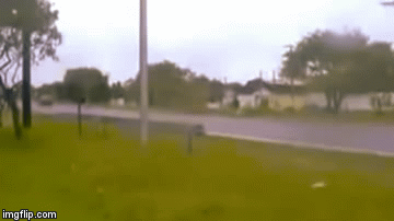 image tagged in gifs | made w/ Imgflip video-to-gif maker