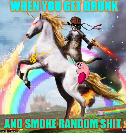 Welcome To The Internets Meme | WHEN YOU GET DRUNK; AND SMOKE RANDOM SHIT | image tagged in memes,welcome to the internets | made w/ Imgflip meme maker