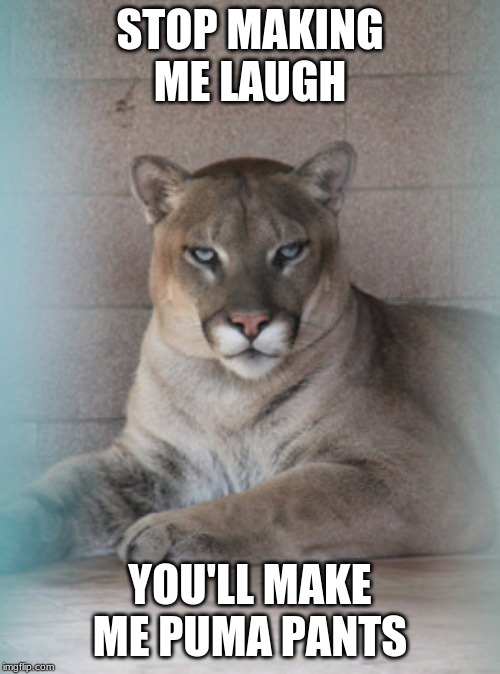 Puma Pants | STOP MAKING ME LAUGH; YOU'LL MAKE ME PUMA PANTS | image tagged in animals | made w/ Imgflip meme maker