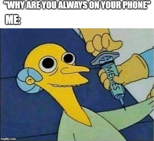 I'm Addicted | "WHY ARE YOU ALWAYS ON YOUR PHONE"; ME: | image tagged in you might be a meme addict,memes | made w/ Imgflip meme maker
