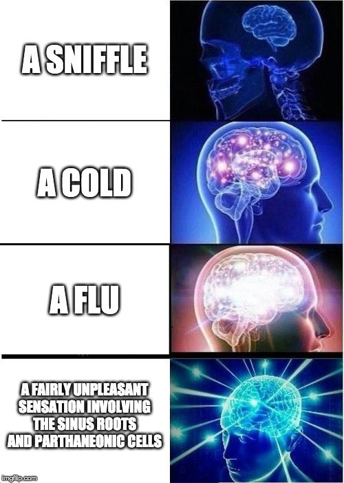 Expanding Brain | A SNIFFLE; A COLD; A FLU; A FAIRLY UNPLEASANT SENSATION INVOLVING THE SINUS ROOTS AND PARTHANEONIC CELLS | image tagged in memes,expanding brain | made w/ Imgflip meme maker
