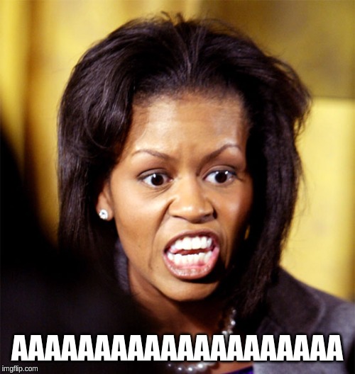 Michelle Obama Lookalike | AAAAAAAAAAAAAAAAAAAA | image tagged in michelle obama lookalike | made w/ Imgflip meme maker