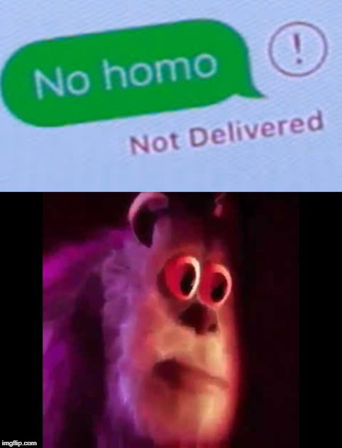 I wonder what's going to happen when you see this person again | image tagged in sully groan,no homo,not delivered,texts | made w/ Imgflip meme maker