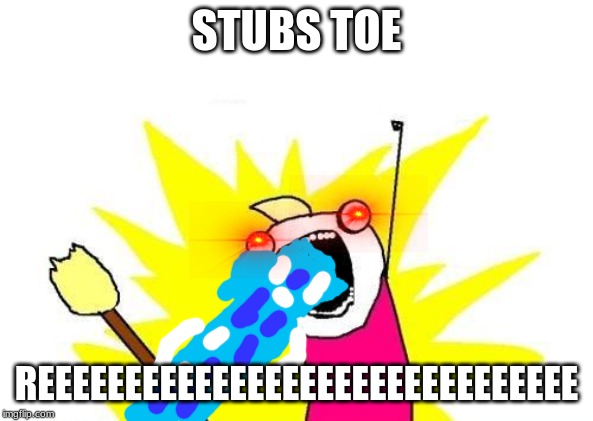 X All The Y | STUBS TOE; REEEEEEEEEEEEEEEEEEEEEEEEEEEEEEE | image tagged in memes,x all the y | made w/ Imgflip meme maker
