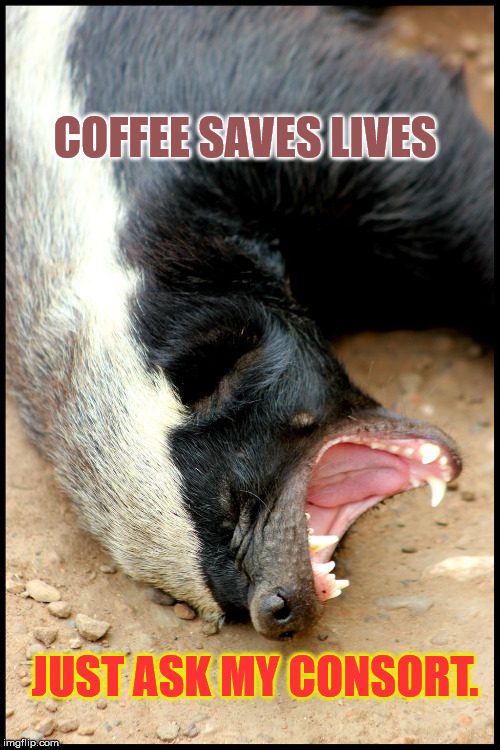 coffee meme | COFFEE SAVES LIVES; JUST ASK MY CONSORT. | image tagged in coffee meme | made w/ Imgflip meme maker