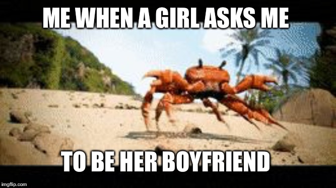 Crab rave gif | ME WHEN A GIRL ASKS ME; TO BE HER BOYFRIEND | image tagged in crab rave gif | made w/ Imgflip meme maker