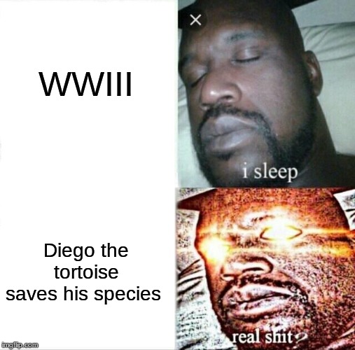 Sleeping Shaq Meme | WWIII; Diego the tortoise saves his species | image tagged in memes,sleeping shaq | made w/ Imgflip meme maker