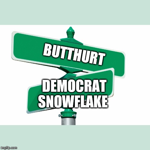 Blank Street Signs | BUTTHURT; DEMOCRAT SNOWFLAKE | image tagged in blank street signs | made w/ Imgflip meme maker