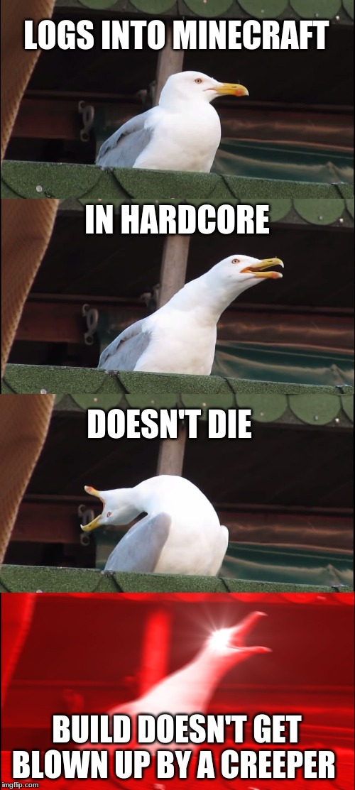 Inhaling Seagull | LOGS INTO MINECRAFT; IN HARDCORE; DOESN'T DIE; BUILD DOESN'T GET BLOWN UP BY A CREEPER | image tagged in memes,inhaling seagull | made w/ Imgflip meme maker