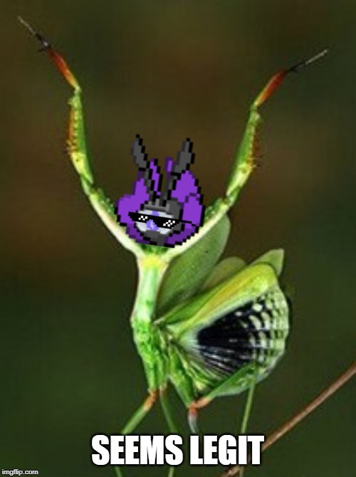 SEEMS LEGIT | made w/ Imgflip meme maker